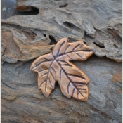 Maple Leaf Focal (1)